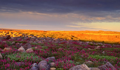 February 24, 2016—Legalization of Marijuana