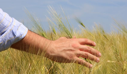 Farmers and the impacts of climate change